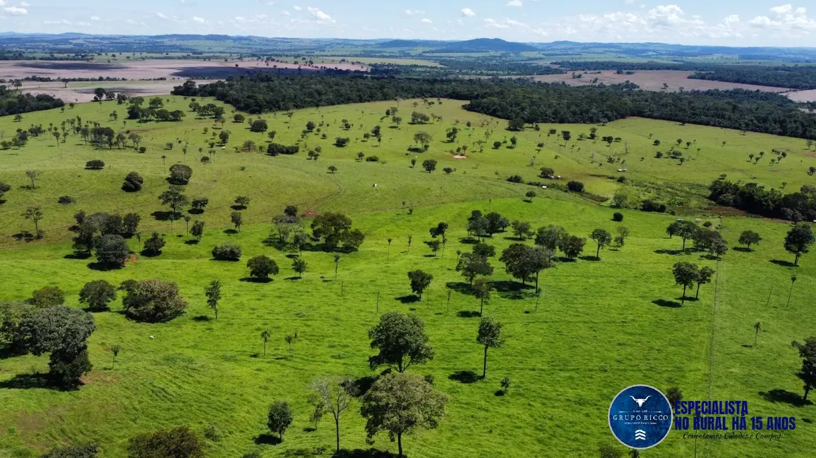 Fazenda / Haras à venda, 26m2 em Santa Barbara De Goias - GO - imagem 2 Foto 2 de Fazenda / Haras à venda, 26m2 em Santa Barbara De Goias - GO