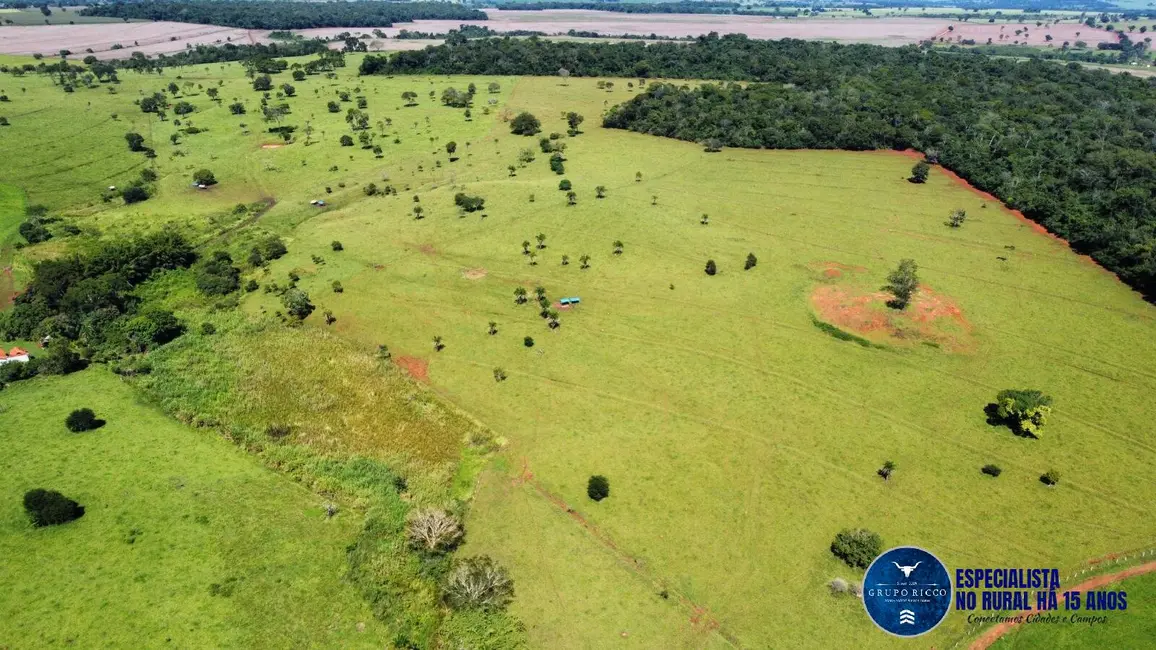 Fazenda / Haras à venda, 26m2 em Santa Barbara De Goias - GO - imagem 8 Foto 8 de Fazenda / Haras à venda, 26m2 em Santa Barbara De Goias - GO