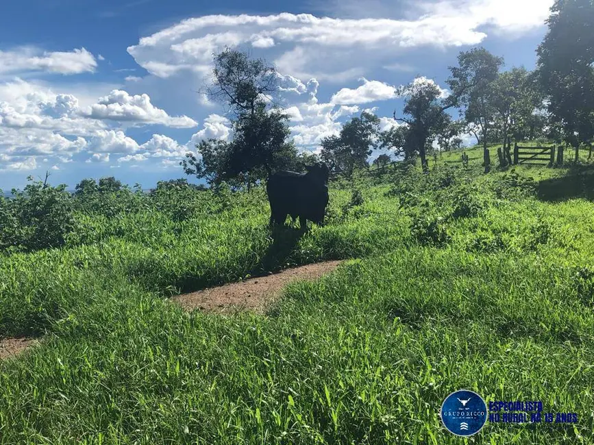 Foto 9 de Fazenda / Haras à venda, 53m2 em Senador Canedo - GO