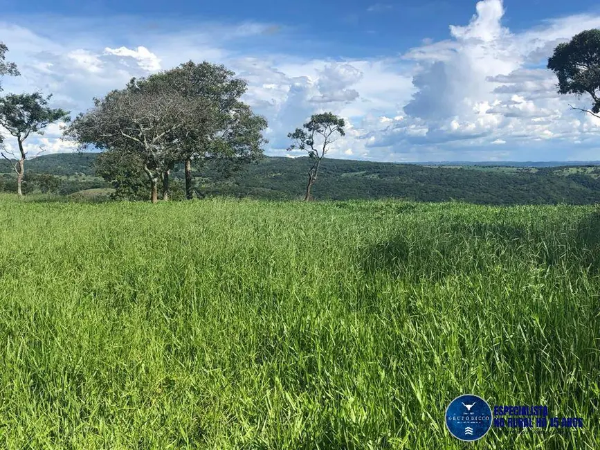 Foto 5 de Fazenda / Haras à venda, 53m2 em Senador Canedo - GO
