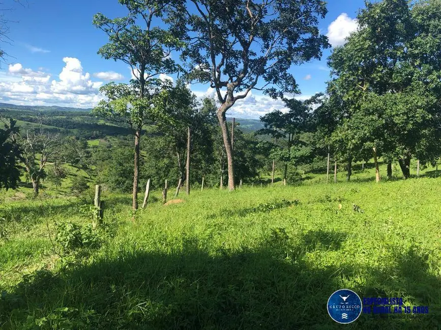 Foto 2 de Fazenda / Haras à venda, 53m2 em Senador Canedo - GO