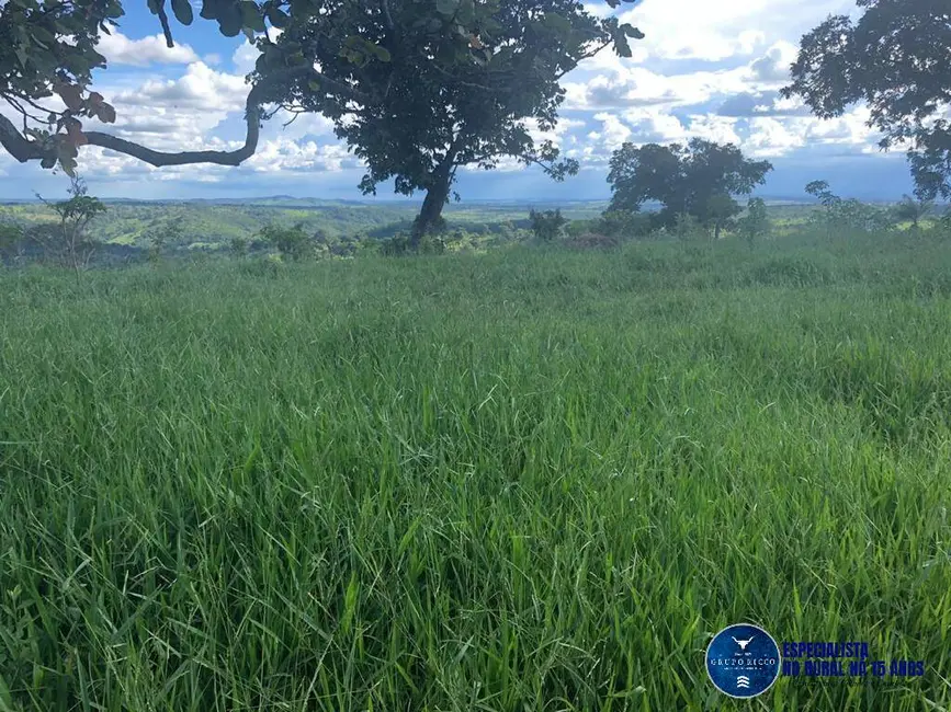 Foto 3 de Fazenda / Haras à venda, 53m2 em Senador Canedo - GO