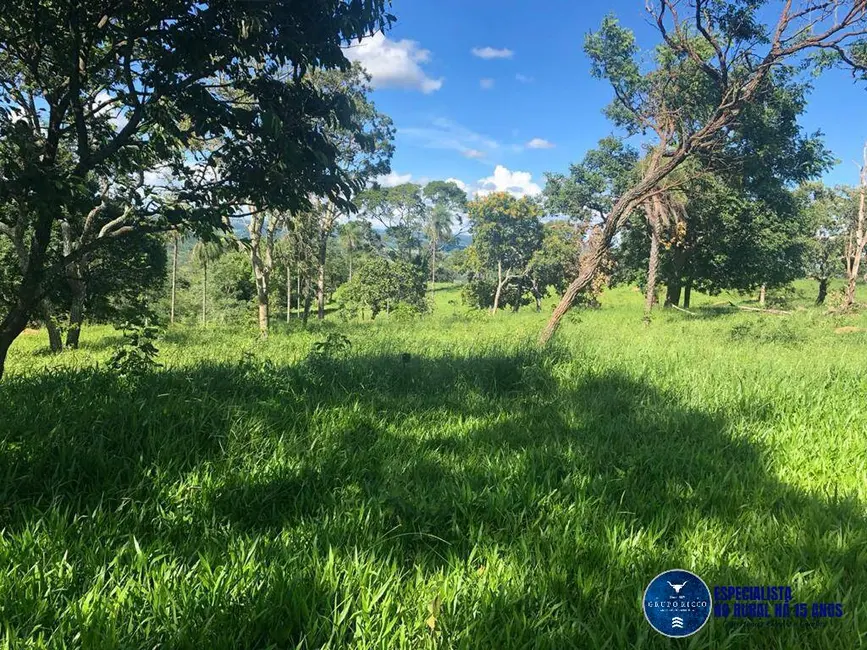 Foto 4 de Fazenda / Haras à venda, 53m2 em Senador Canedo - GO