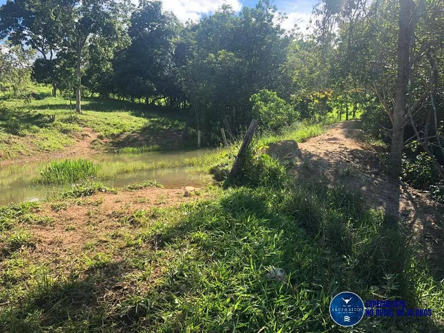 Foto 8 de Fazenda / Haras à venda, 53m2 em Senador Canedo - GO