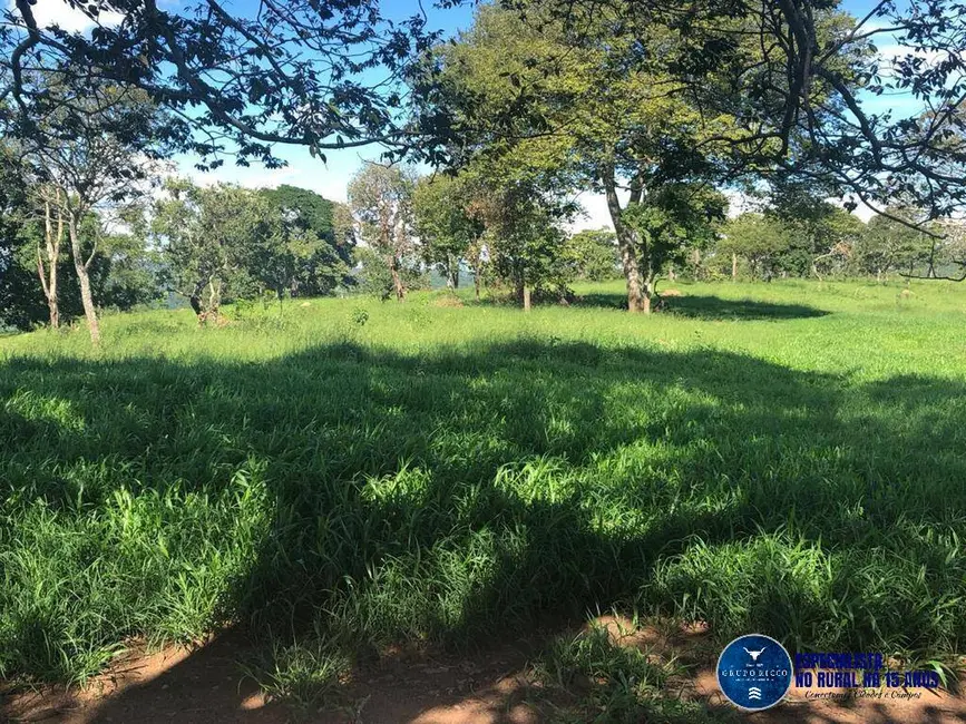 Foto 6 de Fazenda / Haras à venda, 53m2 em Senador Canedo - GO