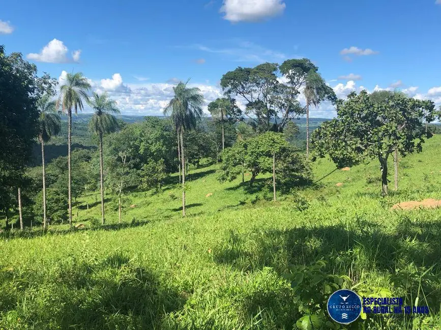Foto 1 de Fazenda / Haras à venda, 53m2 em Senador Canedo - GO