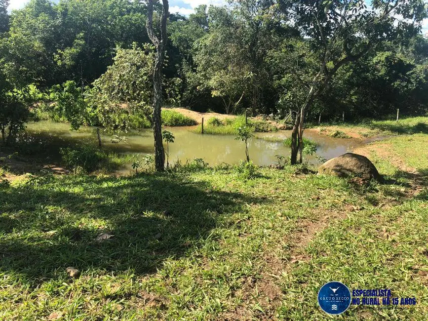Foto 7 de Fazenda / Haras à venda, 53m2 em Senador Canedo - GO