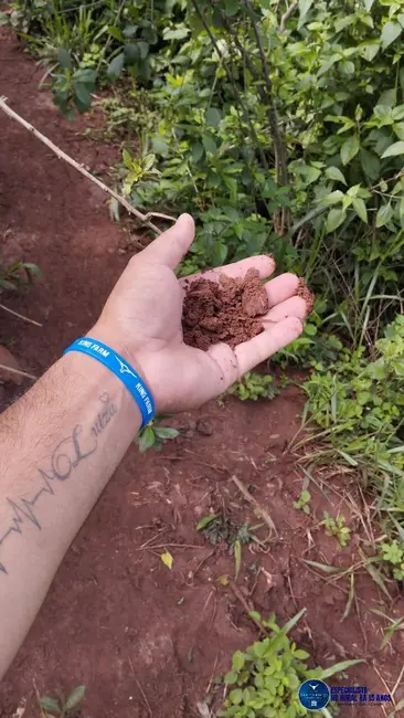 Foto 1 de Fazenda / Haras à venda, 50m2 em Heitorai - GO