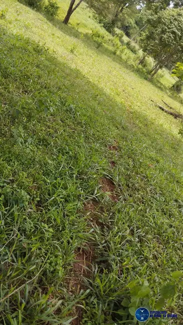 Foto 5 de Fazenda / Haras à venda, 50m2 em Heitorai - GO