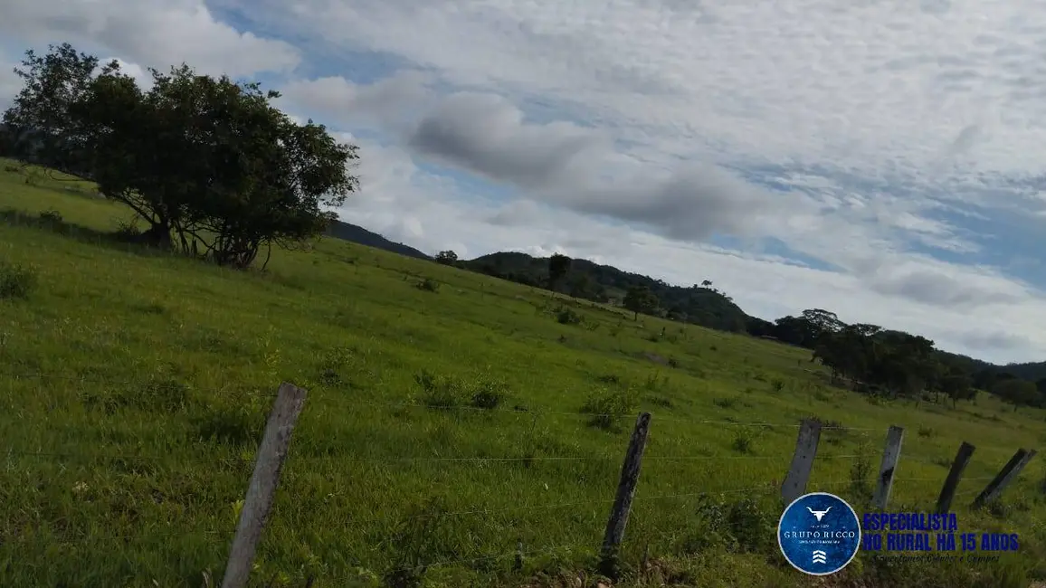 Foto 8 de Fazenda / Haras à venda, 50m2 em Heitorai - GO