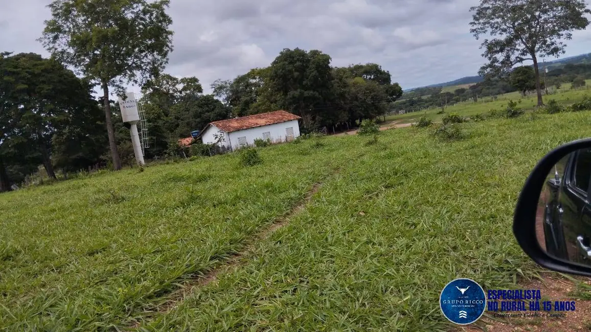 Foto 3 de Fazenda / Haras à venda, 50m2 em Heitorai - GO