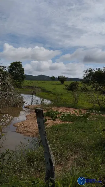 Foto 9 de Fazenda / Haras à venda, 50m2 em Heitorai - GO