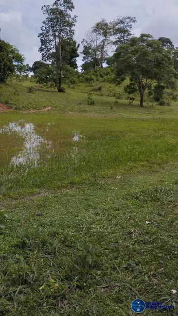 Foto 4 de Fazenda / Haras à venda, 50m2 em Heitorai - GO