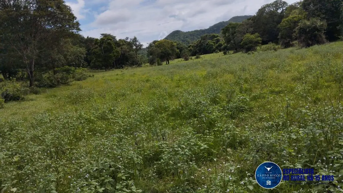 Foto 2 de Fazenda / Haras à venda, 50m2 em Heitorai - GO