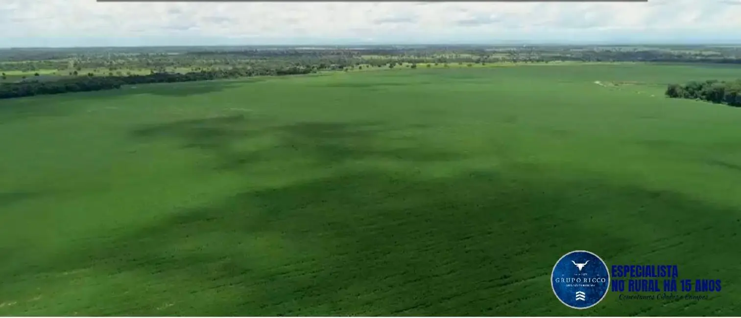 Foto 4 de Fazenda / Haras com 4 quartos à venda, 228m2 em Sao Miguel Do Araguaia - GO