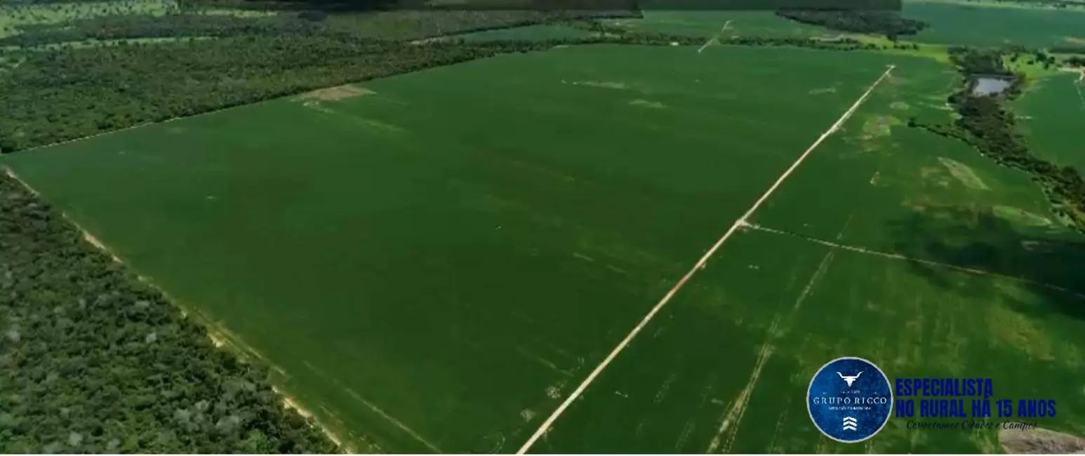 Foto 3 de Fazenda / Haras com 4 quartos à venda, 228m2 em Sao Miguel Do Araguaia - GO