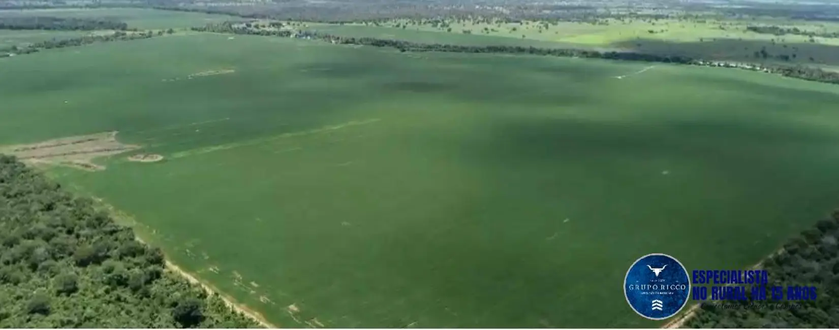 Foto 6 de Fazenda / Haras com 4 quartos à venda, 228m2 em Sao Miguel Do Araguaia - GO
