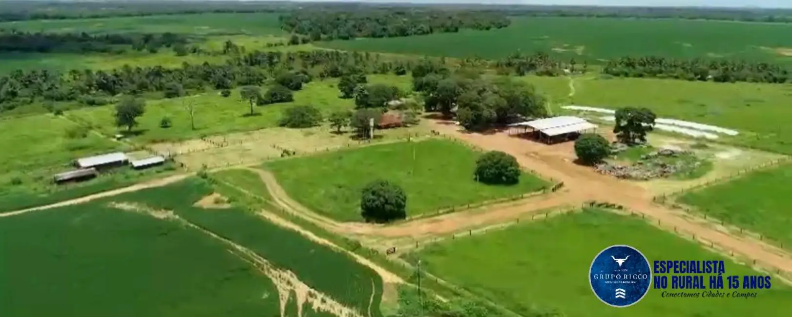 Foto 1 de Fazenda / Haras à venda, 228m2 em Sao Miguel Do Araguaia - GO