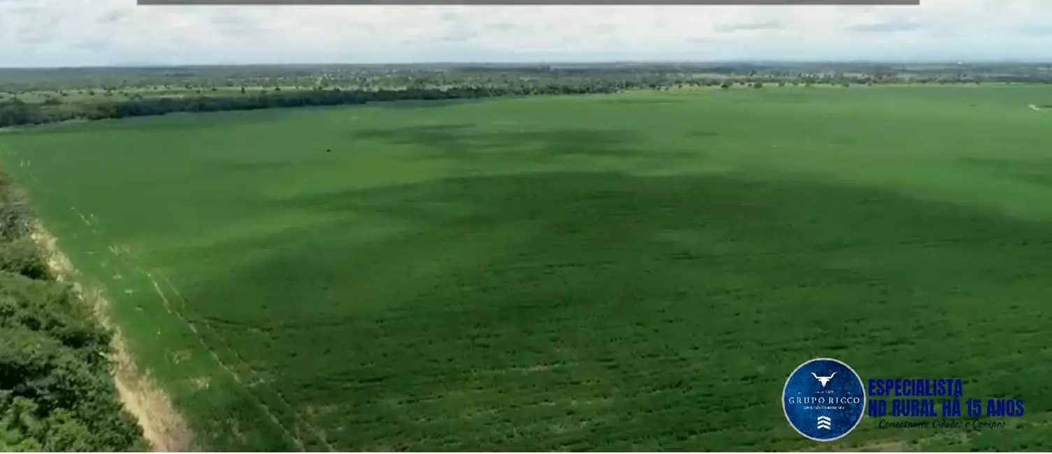 Foto 9 de Fazenda / Haras com 4 quartos à venda, 228m2 em Sao Miguel Do Araguaia - GO