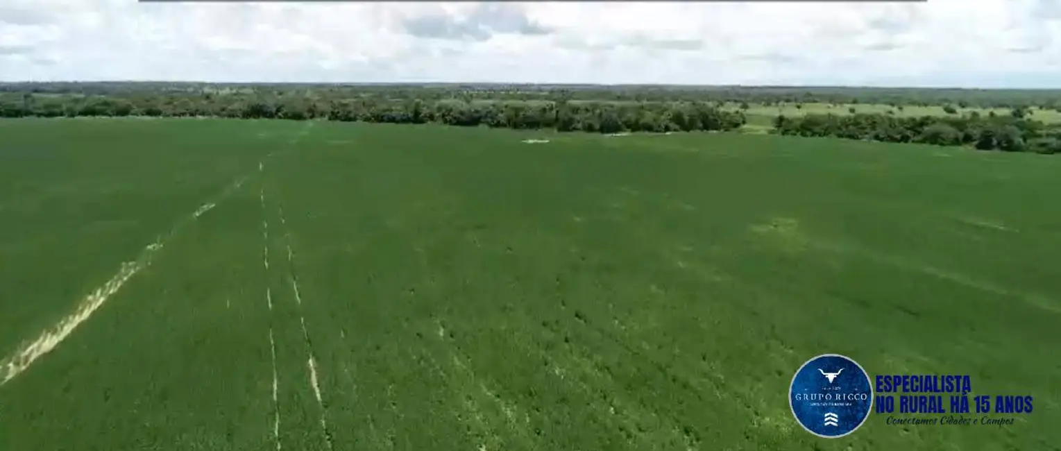 Foto 7 de Fazenda / Haras com 4 quartos à venda, 228m2 em Sao Miguel Do Araguaia - GO