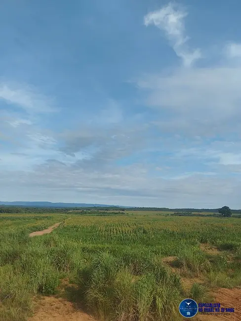 Foto 1 de Fazenda / Haras à venda, 102m2 em Bom Jardim De Goias - GO