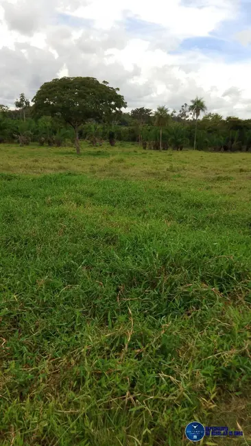 Foto 35 de Chácara à venda em Mairipotaba - GO