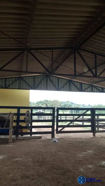 Foto 24 de Chácara à venda em Mairipotaba - GO