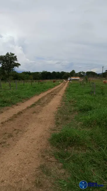 Foto 33 de Chácara à venda em Mairipotaba - GO