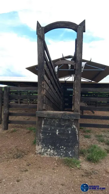 Foto 25 de Chácara à venda em Mairipotaba - GO