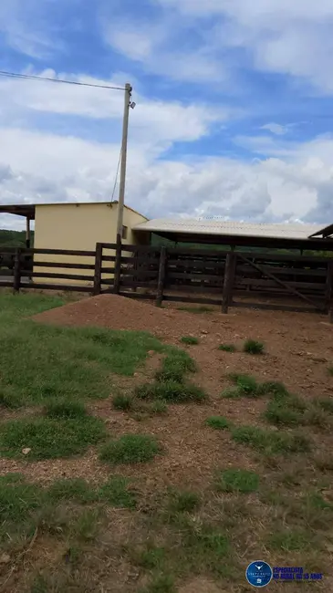 Foto 26 de Chácara à venda em Mairipotaba - GO