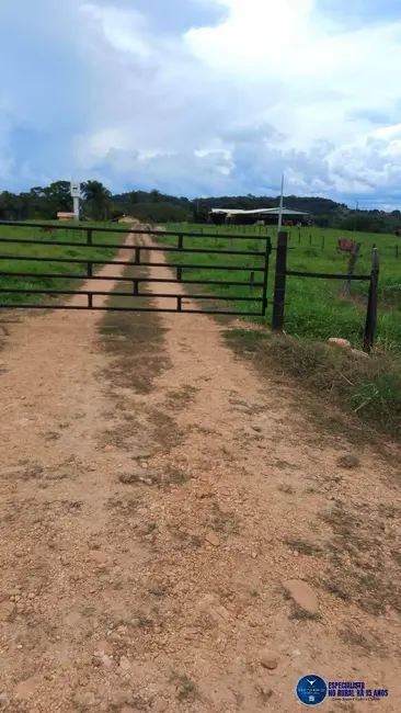 Foto 38 de Chácara à venda em Mairipotaba - GO