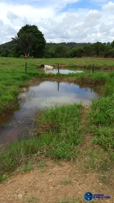 Foto 36 de Chácara à venda em Mairipotaba - GO