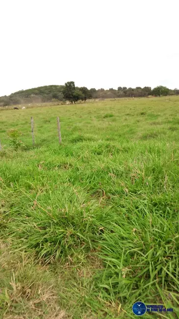 Foto 18 de Chácara à venda em Mairipotaba - GO