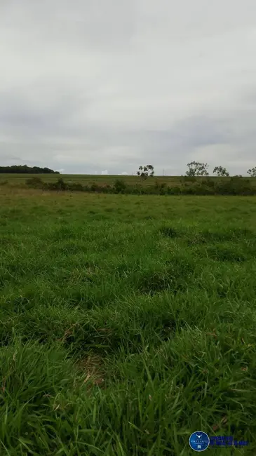 Foto 27 de Chácara à venda em Mairipotaba - GO