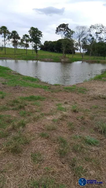 Foto 22 de Chácara à venda em Mairipotaba - GO