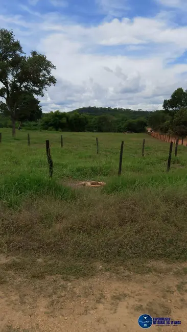 Foto 30 de Chácara à venda em Mairipotaba - GO