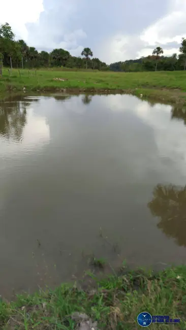 Foto 5 de Chácara à venda em Mairipotaba - GO