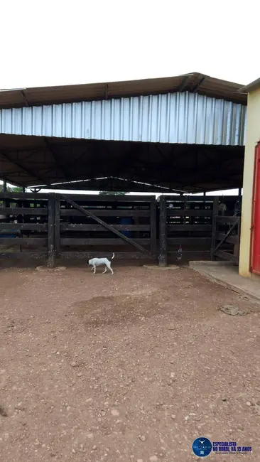 Foto 8 de Chácara à venda em Mairipotaba - GO