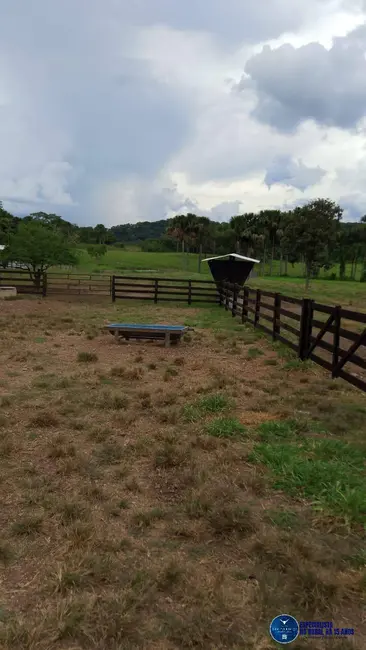 Foto 28 de Chácara à venda em Mairipotaba - GO