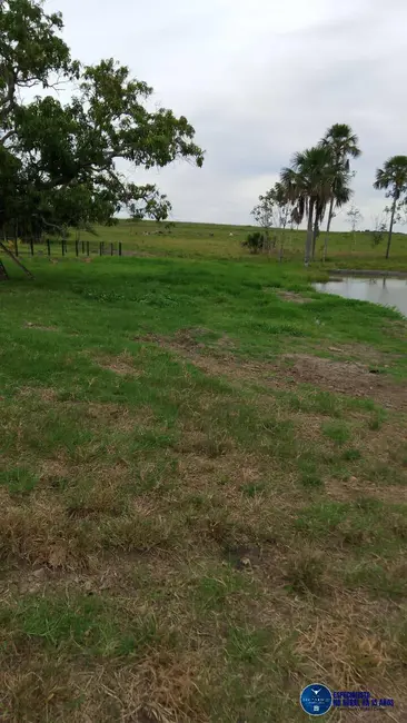 Foto 13 de Chácara à venda em Mairipotaba - GO