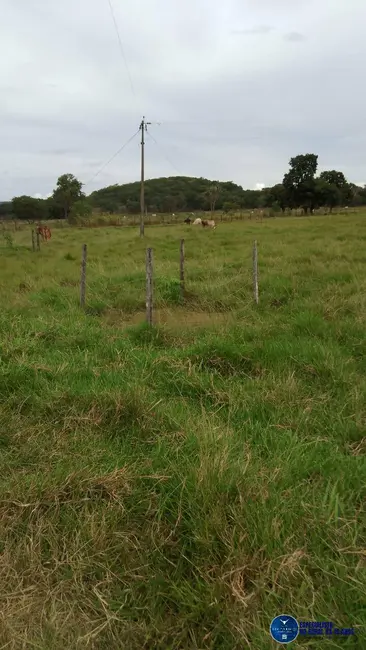 Foto 4 de Chácara à venda em Mairipotaba - GO
