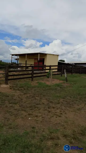 Foto 3 de Chácara à venda em Mairipotaba - GO