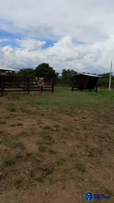 Foto 7 de Chácara à venda em Mairipotaba - GO