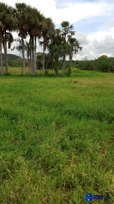 Foto 17 de Chácara à venda em Mairipotaba - GO