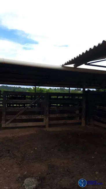 Foto 9 de Chácara à venda em Mairipotaba - GO