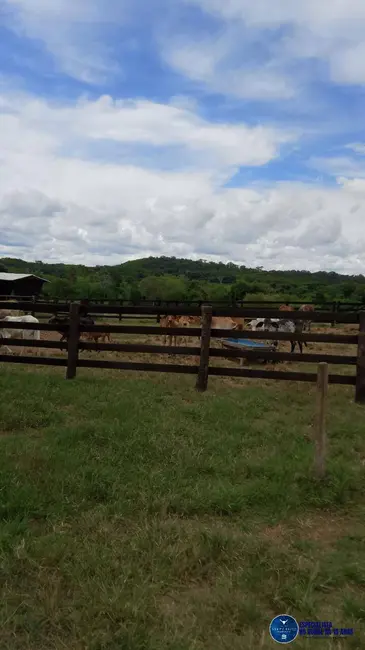 Foto 31 de Chácara à venda em Mairipotaba - GO