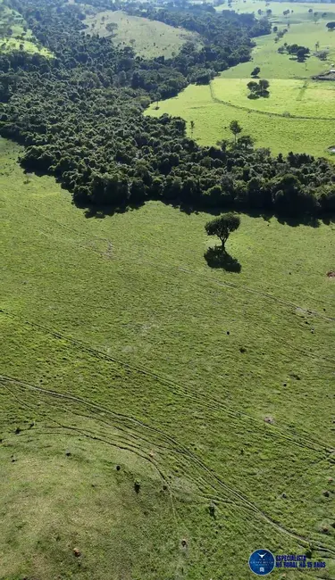 Foto 6 de Fazenda / Haras à venda, 34m2 em Anicuns - GO
