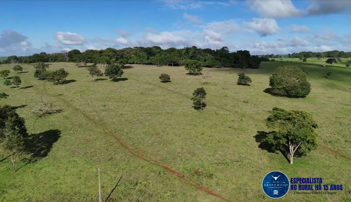 Foto 2 de Fazenda / Haras à venda, 34m2 em Anicuns - GO
