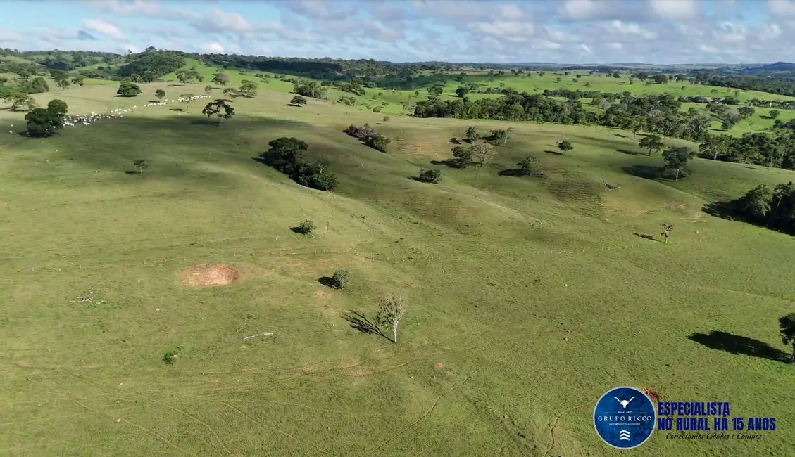 Foto 7 de Fazenda / Haras à venda, 34m2 em Anicuns - GO