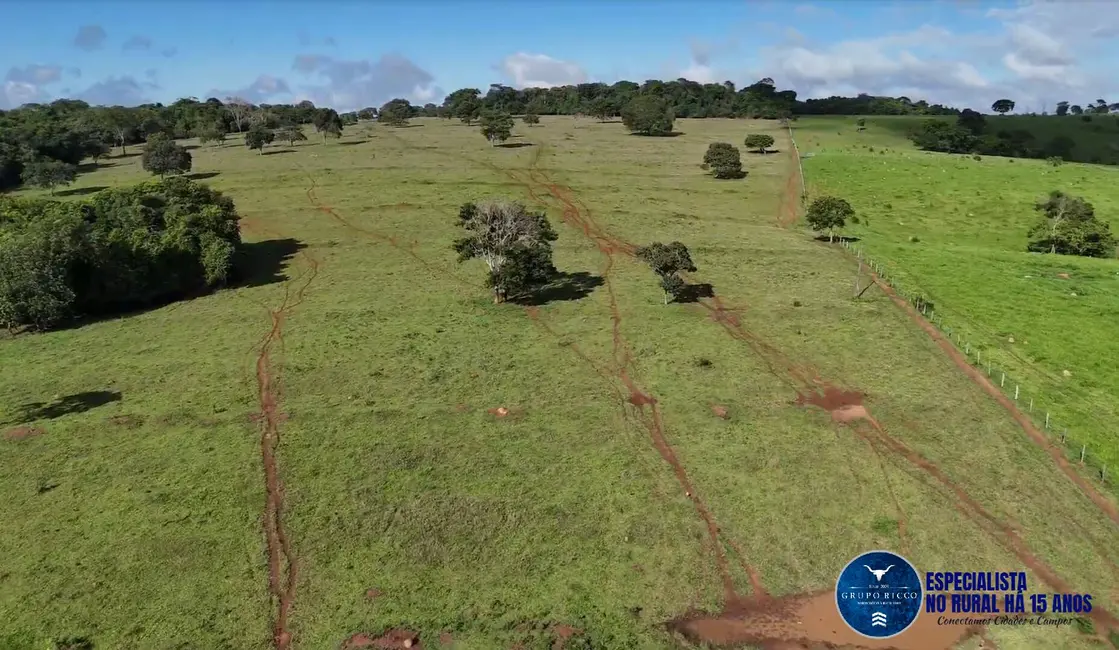 Foto 5 de Fazenda / Haras à venda, 34m2 em Anicuns - GO